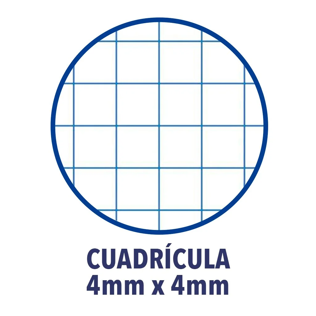 Cuadernos 8º(A6) Enri. Pack de 10 unidades. Tapa blanda. Cuadrícula 4x4. Colores aleatorios.