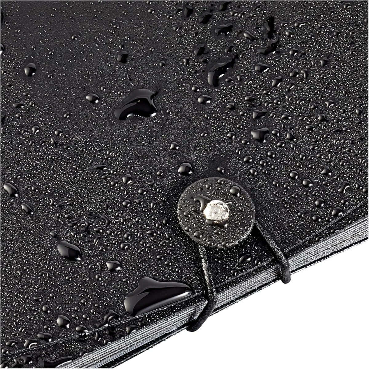 Amazon Basics Carpeta de acordeón (tamaño A4), Paquete de 1, Negra