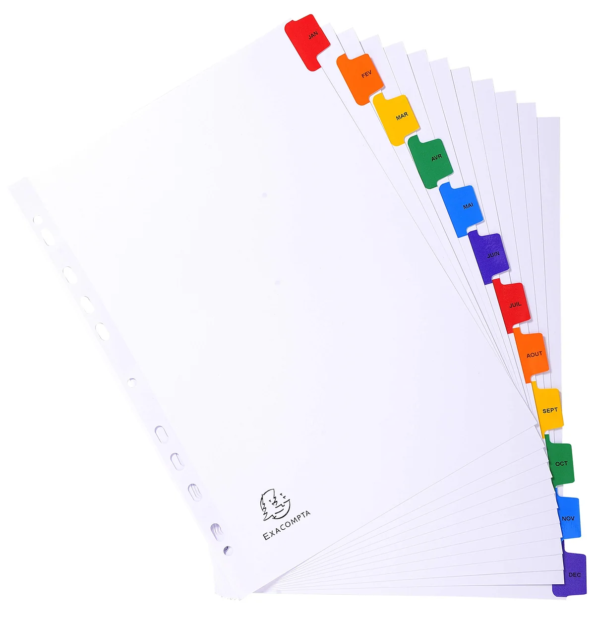 Exacompta - 1113E - Separadores en cartulina blanca 160g/m2 FSC® con 12 pestañas impresas mensualmente de enero a diciembre a color - Ficha imprimible - Formato a archivo A4