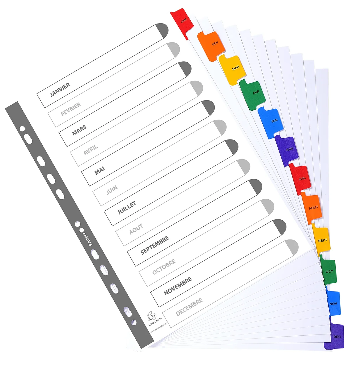 Exacompta - 1113E - Separadores en cartulina blanca 160g/m2 FSC® con 12 pestañas impresas mensualmente de enero a diciembre a color - Ficha imprimible - Formato a archivo A4